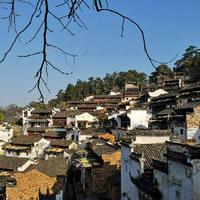 放飞的心情808头像