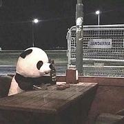 Luke890的个人资料头像