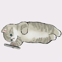 快乐的山雀35z头像