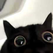 flash_one的个人资料头像