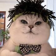 用户4361830856621的个人资料头像