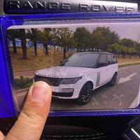 厦门树先生头像