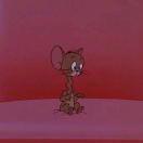 Funx的个人资料头像