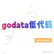 godata的个人资料头像