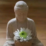 幽蓝珠头像