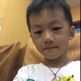 小虎头像