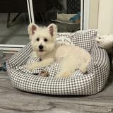 景颜的启源头像