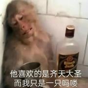 IT农民工168的个人资料头像