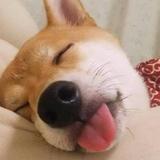 用户104190140175头像