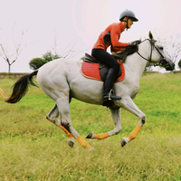 南京市江宁区汇嘉二手车经纪服务中心头像