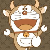 专修小灰机头像