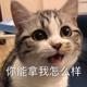 缄默7566头像
