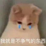 烧鱼的个人资料头像