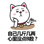 开发的个人资料头像