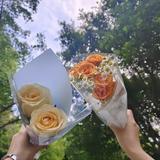 灵巧百灵鸟7X1头像