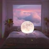 站起来踩菲斯塔头像