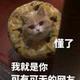 冷冰的老王头像
