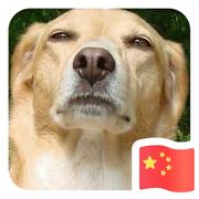 绍兴酒瓶的个人资料头像