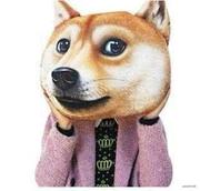 只会html的前端的个人资料头像