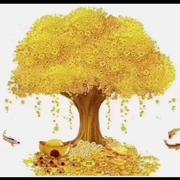 艺瑶的个人资料头像