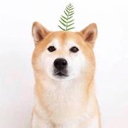 MrTeil的个人资料头像