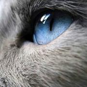 教麦的个人资料头像