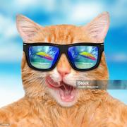 越过山丘_H的个人资料头像