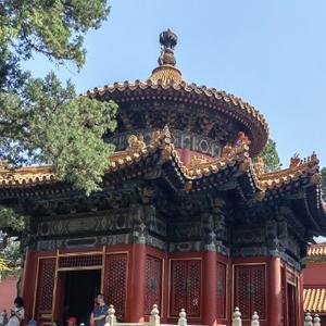 博学钢琴K6c头像