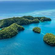 李三虎的个人资料头像