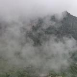 雾气弥漫着昆虫头像