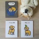 歪Q的个人资料头像