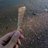 繁星点点9747头像