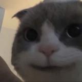 西瓜55557头像