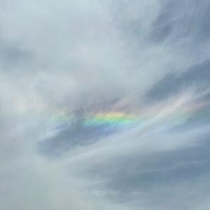 一帆风顺1283头像
