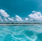 Zll的个人资料头像