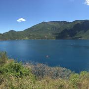 Twist的个人资料头像