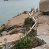拂晓虎头像