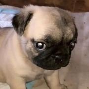 hqux的个人资料头像