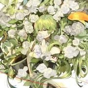 Lanternsky的个人资料头像