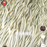 巧机器短剧头像
