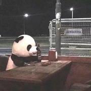 杨枝甘露哦的个人资料头像