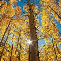 不忘初心89633头像