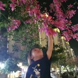 如意吉祥头像