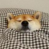 前方大坑头像