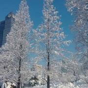 Domoke的个人资料头像