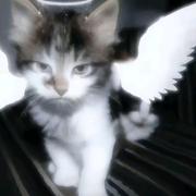 头发乱了喔的个人资料头像