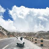 钱是英雄胆890头像