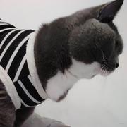 muyian的个人资料头像