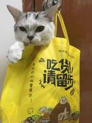 樊jiong的个人资料头像
