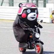 小伙子205的个人资料头像